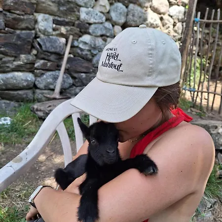 Tipi Nature A L'ombre Des Tilleuls A En Cevennes - Animaux Ferme Luksustelt *