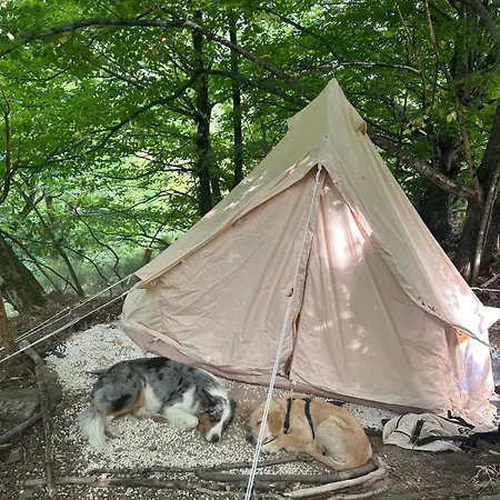 Tipi Nature A L'ombre Des Tilleuls A En Cevennes - Animaux Ferme 럭셔리텐트 *