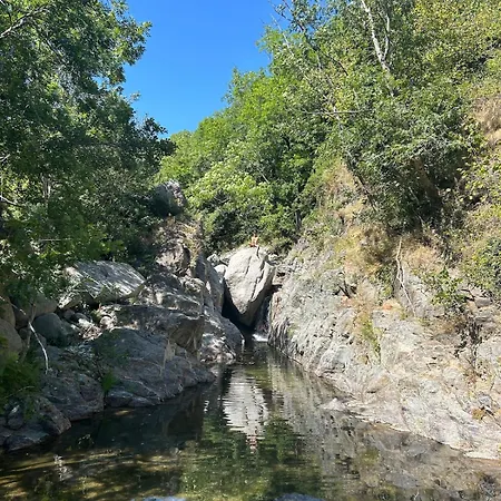 Tipi Nature A L'ombre Des Tilleuls A En Cevennes - Animaux Ferme