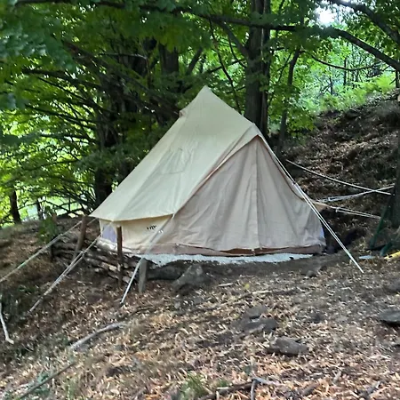 Tipi Nature A L'ombre Des Tilleuls A En Cevennes - Animaux Ferme *