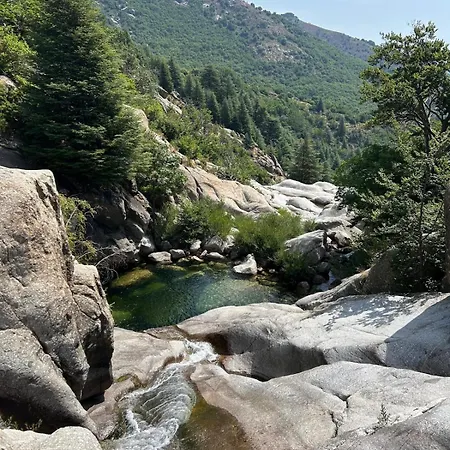 Tipi Nature A L'ombre Des Tilleuls A En Cevennes - Animaux Ferme