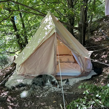 Tipi Nature A L'ombre Des Tilleuls A En Cevennes - Animaux Ferme 럭셔리텐트 Vialas