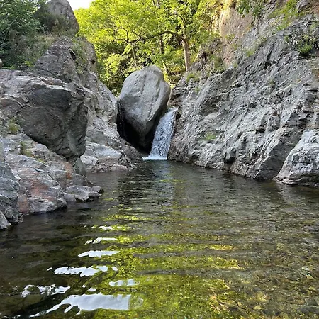 Luxe tent Tipi Nature A L'ombre Des Tilleuls A En Cevennes - Animaux Ferme