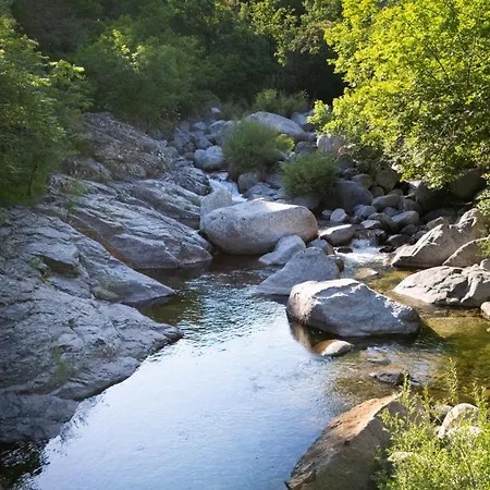 Tipi Nature A L'ombre Des Tilleuls A En Cevennes - Animaux Ferme * Vialas