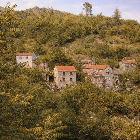 Tipi Nature A L'ombre Des Tilleuls A En Cevennes - Animaux Ferme * Vialas