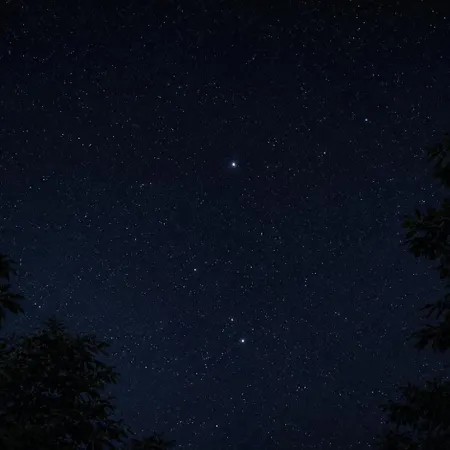 Tipi Nature A L'ombre Des Tilleuls A En Cevennes - Animaux Ferme Vialas