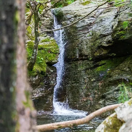 Tipi Nature A L'ombre Des Tilleuls A En Cevennes - Animaux Ferme