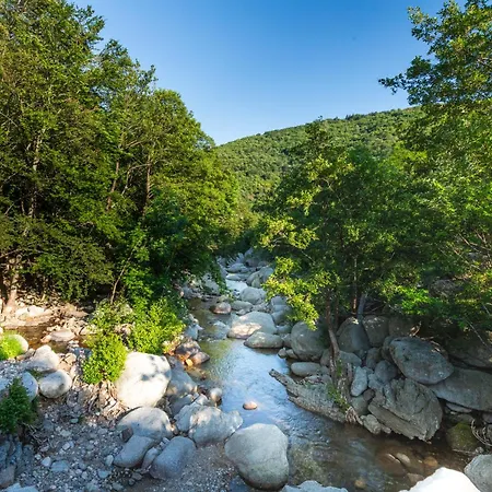 Tipi Nature A L'ombre Des Tilleuls A En Cevennes - Animaux Ferme *
