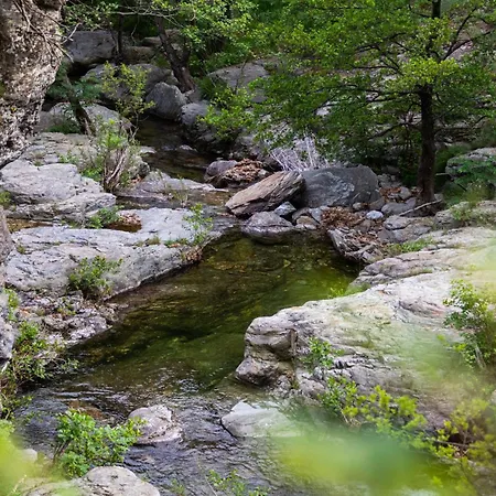 Tipi Nature A L'ombre Des Tilleuls A En Cevennes - Animaux Ferme