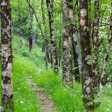 럭셔리텐트 Tipi Nature A L'ombre Des Tilleuls A En Cevennes - Animaux Ferme *