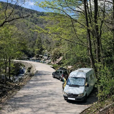 Tipi Nature A L'ombre Des Tilleuls A En Cevennes - Animaux Ferme
