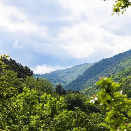 Tipi Nature A L'ombre Des Tilleuls A En Cevennes - Animaux Ferme *