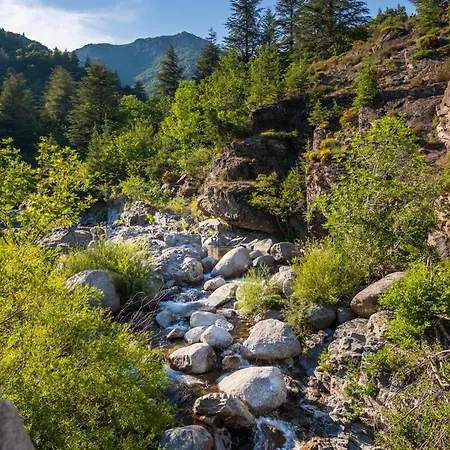 Tipi Nature A L'ombre Des Tilleuls A En Cevennes - Animaux Ferme *