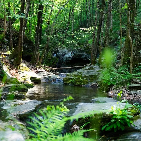 Tipi Nature A L'ombre Des Tilleuls A En Cevennes - Animaux Ferme Luxe tent