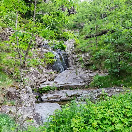Tipi Nature A L'ombre Des Tilleuls A En Cevennes - Animaux Ferme