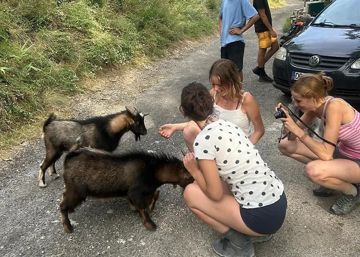 Lüks kamp alanı Tipi Nature A L'ombre Des Tilleuls A En Cevennes Vialas