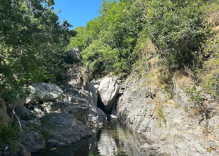 Tipi Nature A L'ombre Des Tilleuls A En Cevennes