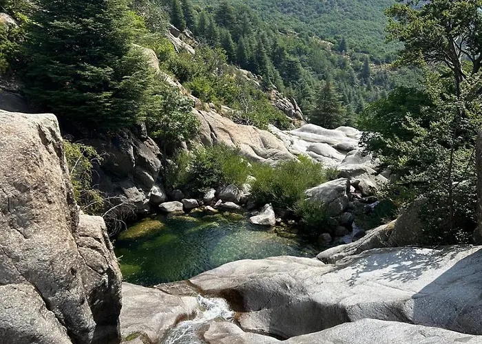 Tipi Nature A L'ombre Des Tilleuls A En Cevennes